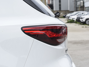 2020260TGI Ԅ(dng)Trophy Plus L2+ (x)(ji)^