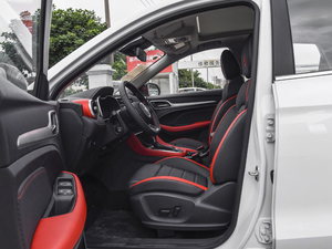 2020260TGI ԄTrophy Plus L2+ ǰſg