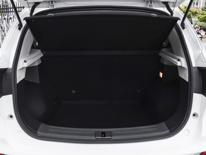 2020260TGI ԄTrophy Plus L2+ g