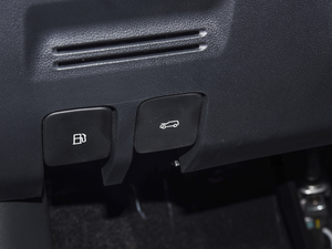 2020260TGI ԄTrophy Plus L2+ g