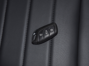 2020260TGI ԄTrophy Plus L2+ ܇耳