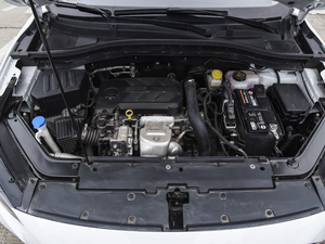 2020260TGI ԄTrophy Plus L2+ lәC