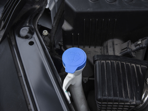 2020260TGI ԄTrophy Plus L2+ 