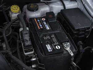 2020260TGI ԄTrophy Plus L2+ 