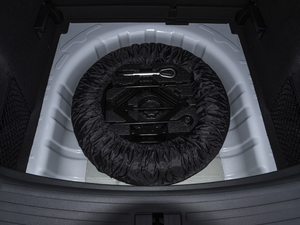 2020260TGI ԄTrophy Plus L2+ ̥