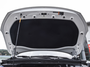 2020260TGI ԄTrophy Plus L2+ 