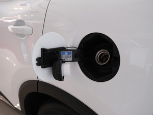 202020T ԄӃ򌳬 VI ^