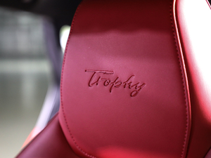 20201.5T ԄTrophy{Ş g