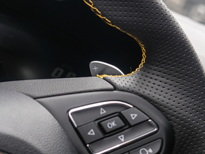 20201.5T Ԅ(dng)Trophy{Ş п؅^(q)