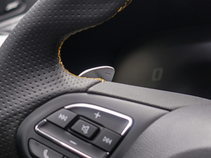 20201.5T Ԅ(dng)Trophy{Ş п؅^(q)