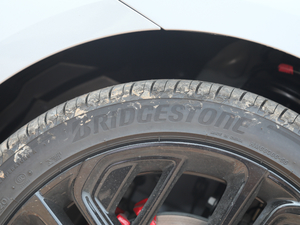 20201.5T ԄTrophyŞ ݆̥Ʒ