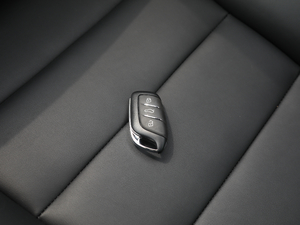 20201.5T ԄTrophyŞ ܇耳