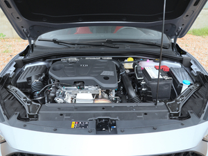 20201.5T ԄTrophyŞ lәC