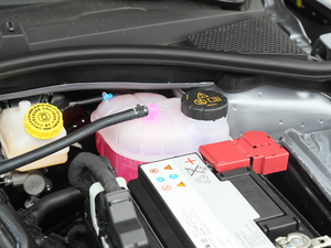 20201.5T Ԅ(dng)TrophyŞ 