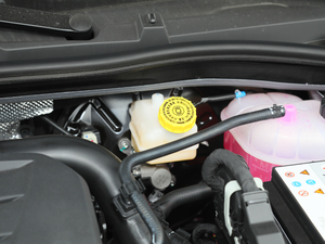 20201.5T Ԅ(dng)TrophyŞ 