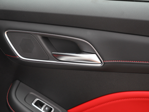 20201.5T ԄTrophyA g