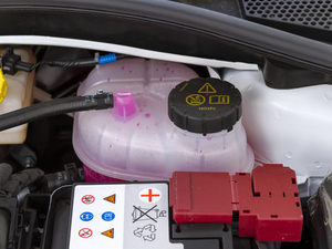 202020T Ԅӽ(jng)\Ӱ 