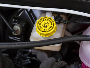 202020T Ԅӽ(jng)\Ӱ 