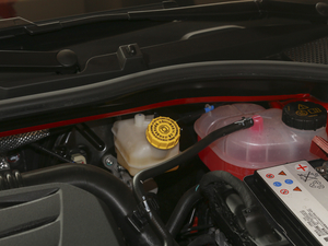 202020T Ԅ(dng)(jng)x 