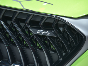 20201.5T ԄTrophy(sh){Ş (ji)^