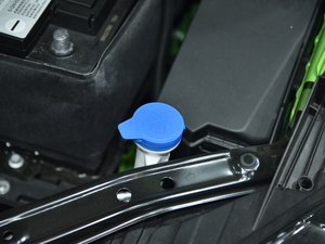 20201.5T ԄTrophy{Ş 