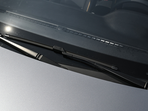 20201.5T Trophy{Ş ˢ