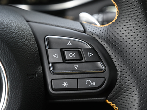 20201.5T Trophy{Ş п؅^