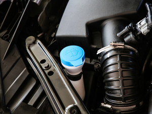 20201.5T (dng)I(lng)L(fng)а 