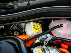 20201.5T (dng)I(lng)L(fng)а 