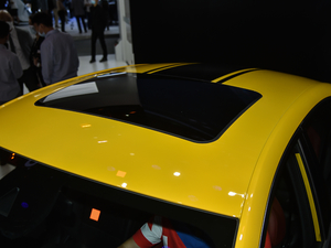 2021款300TGI DCT潮越青奢限定版 车顶