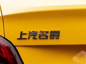 2021款300TGI DCT青奢豪享版 细节外观