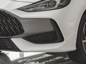 2021Ŀ 300TGI DCTŞ ^