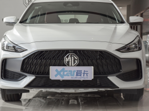 2021款改款 300TGI DCT青奢旗舰版 中网