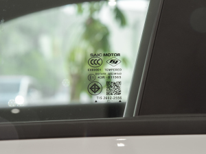 2021Ŀ 300TGI DCTŞ ^