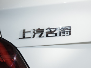 2021款改款 300TGI DCT青奢旗舰版 细节外观