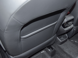 2021Ŀ 300TGI DCTŞ g