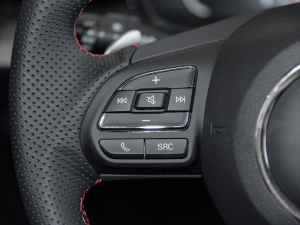 2021Ŀ 300TGI DCTŞ п؅^