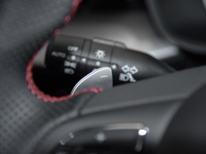 2021Ŀ 300TGI DCTŞ п؅^