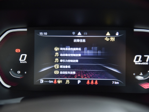 2021Ŀ 300TGI DCTŞ п؅^