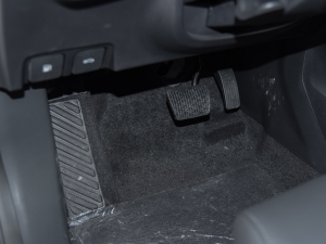 2021Ŀ 300TGI DCTŞ п؅^