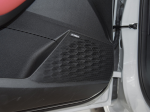 2021Ŀ 300TGI DCTŞ п؅^