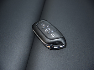 2021Ŀ 300TGI DCTŞ ܇耳