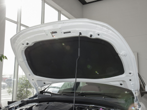 2021Ŀ 300TGI DCTŞ lәCœ