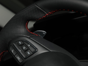 2021Ŀ 300TGI DCTݺ п؅^