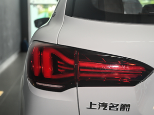 2021款300TGI 自动两驱Trophy智尊版 细节外观