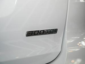 2021款300TGI 自动两驱Trophy智尊版 细节外观