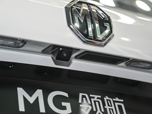 2021款300TGI 自动两驱Trophy智尊版 细节外观