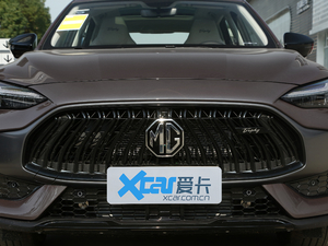 2021款300TGI 自动两驱Trophy尊享版 中网