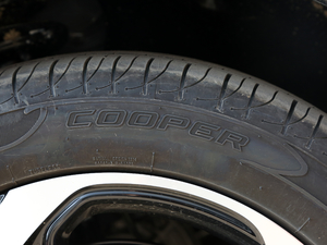 2021300TGI ԄӃTrophy ݆̥Ʒ