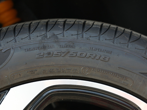 2021300TGI ԄӃTrophy ݆̥ߴ